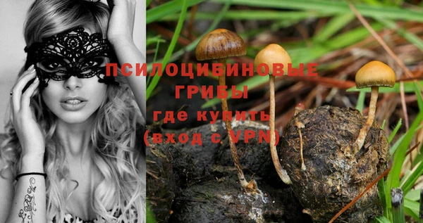 бутират Тайга