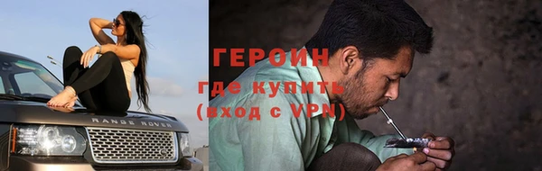 сатива Няндома