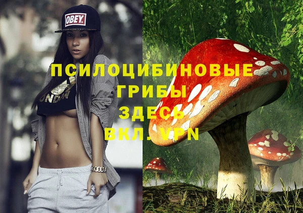 спайс Сясьстрой