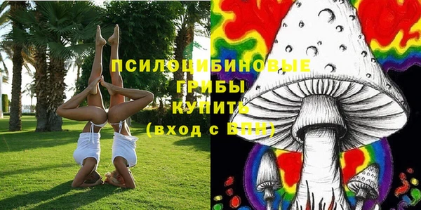 бутират Тайга