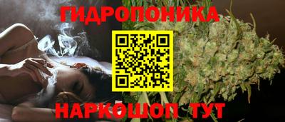 каннабис Сланцы