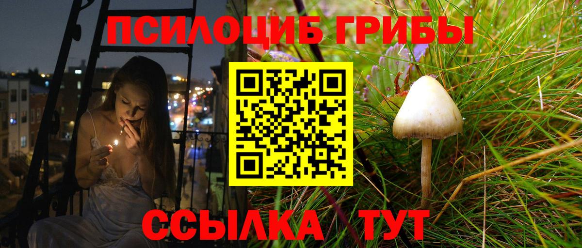 Галлюциногенные грибы Magic Shrooms  Вход с VPN  Снежинск  Галлюциногенные грибы GOLDEN TEACHER 