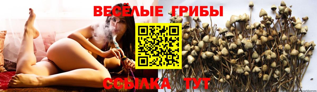 Галлюциногенные грибы прущие грибы Снежинск